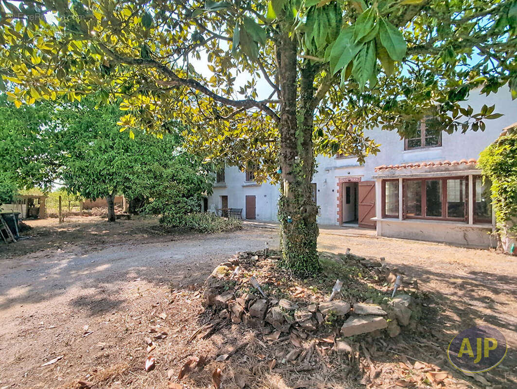 Maison Vieillevigne 6 pièces, 4 chambres - photo 10