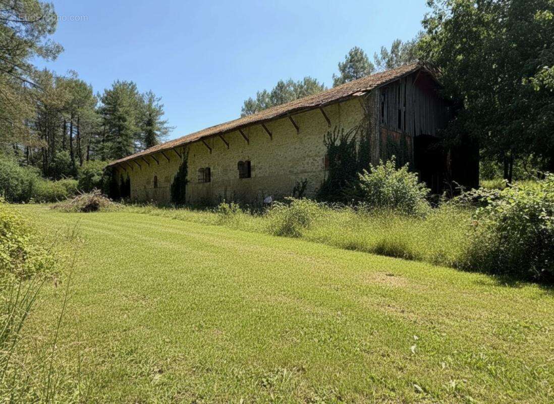 Maison 500 m² à vendre à Verteuil-D'agenais (47260) - photo 2