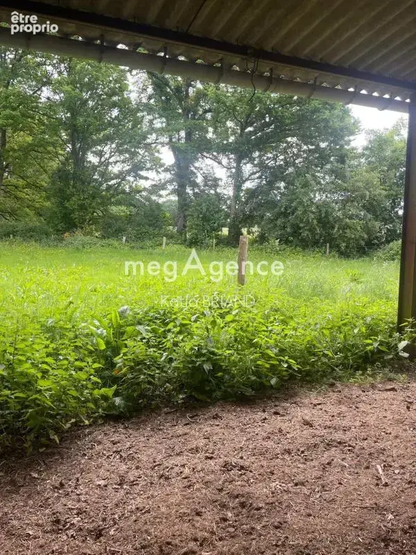 Terrain agricole  et bâtiment - photo 3