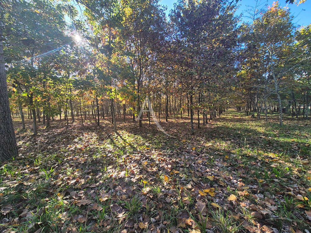 Maison à VILLENEUVE-DE-MARSAN