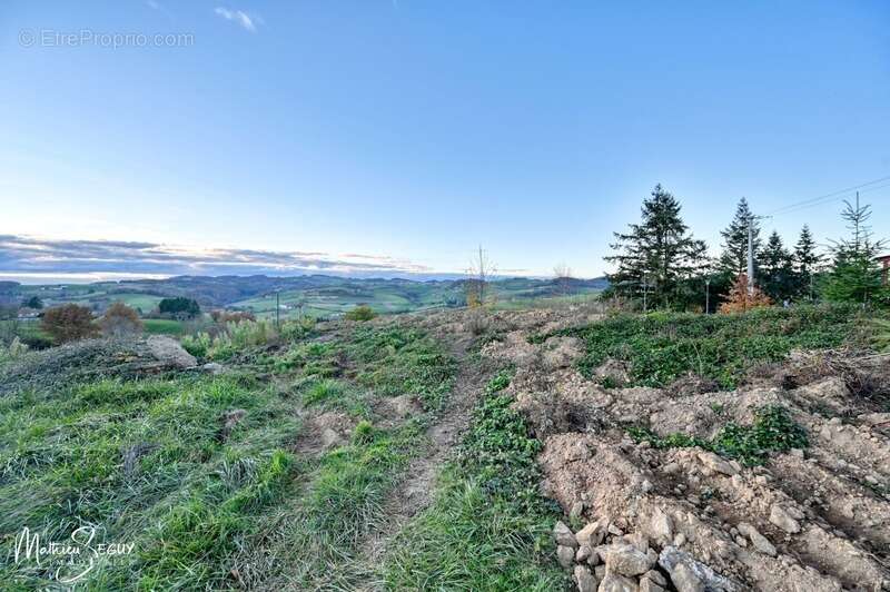 Terrain à SAINT-MARTIN-EN-HAUT