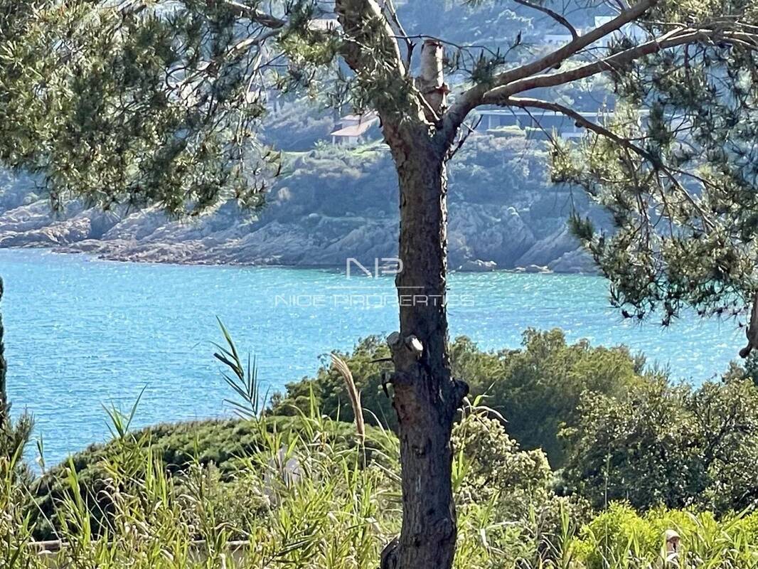 Maison à RAMATUELLE