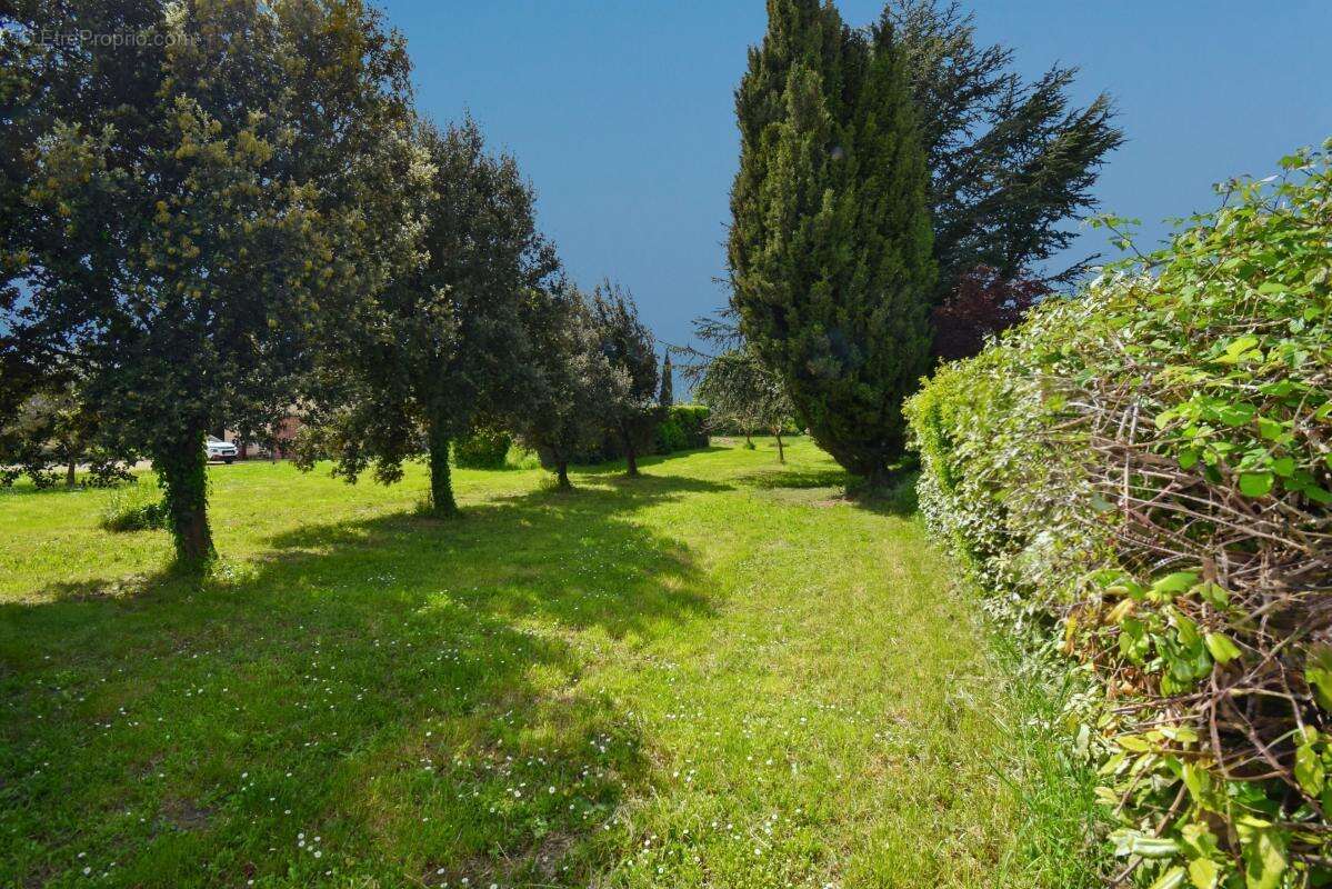 Terrain à SAINT-QUENTIN-LA-POTERIE