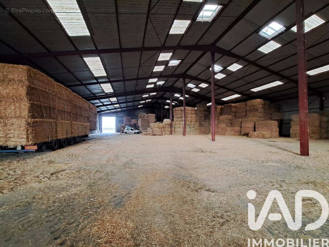 Photo 6 - Commerce à GONDREVILLE