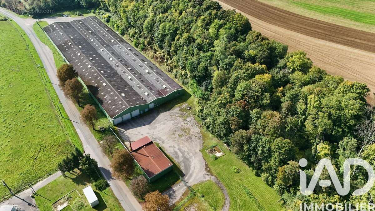 Photo 5 - Parking à BOURBONNE-LES-BAINS