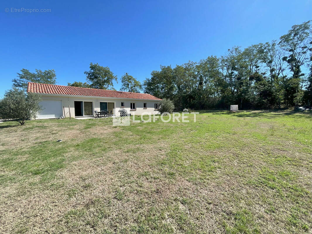 Maison à SAINT-JEAN-DU-FALGA