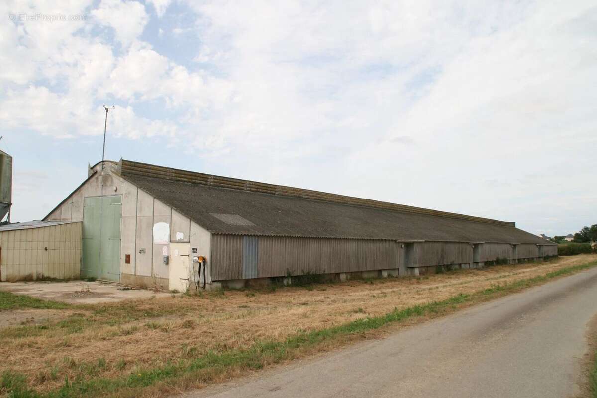 Vente Bureau-local Josselin(56120) 44 000ï¿œ - photo 2