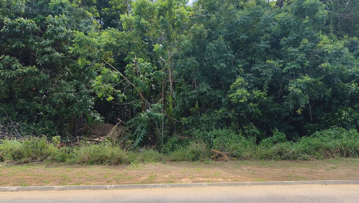 Grand terrain constructible pour promoteur - photo 2