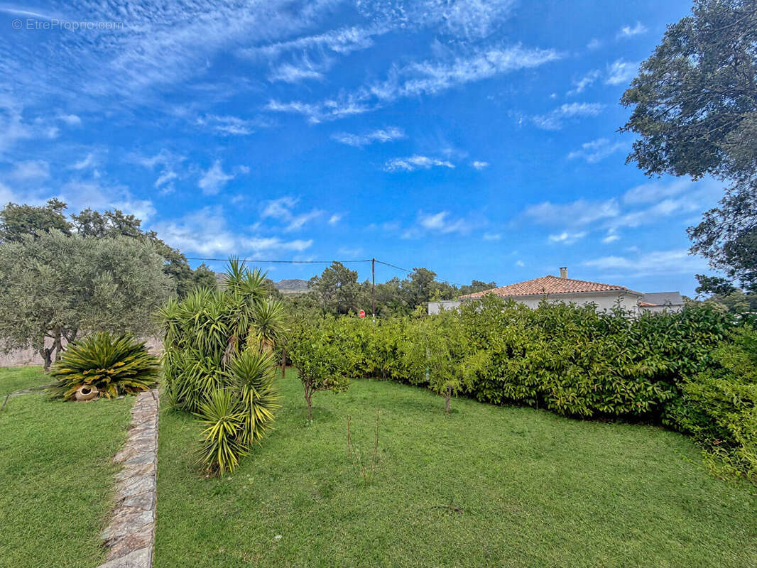 Maison 122m² à pietracorbara - photo 10