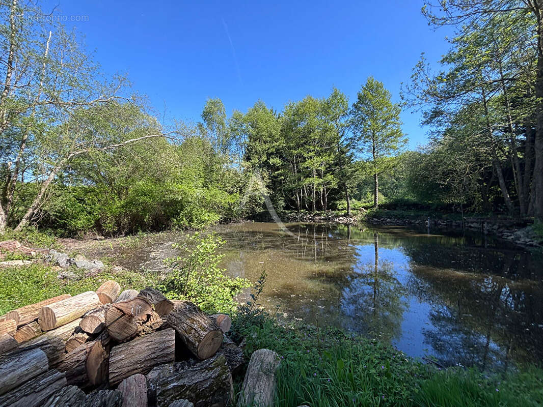 Terrain de loisirs 2310m² - photo 9