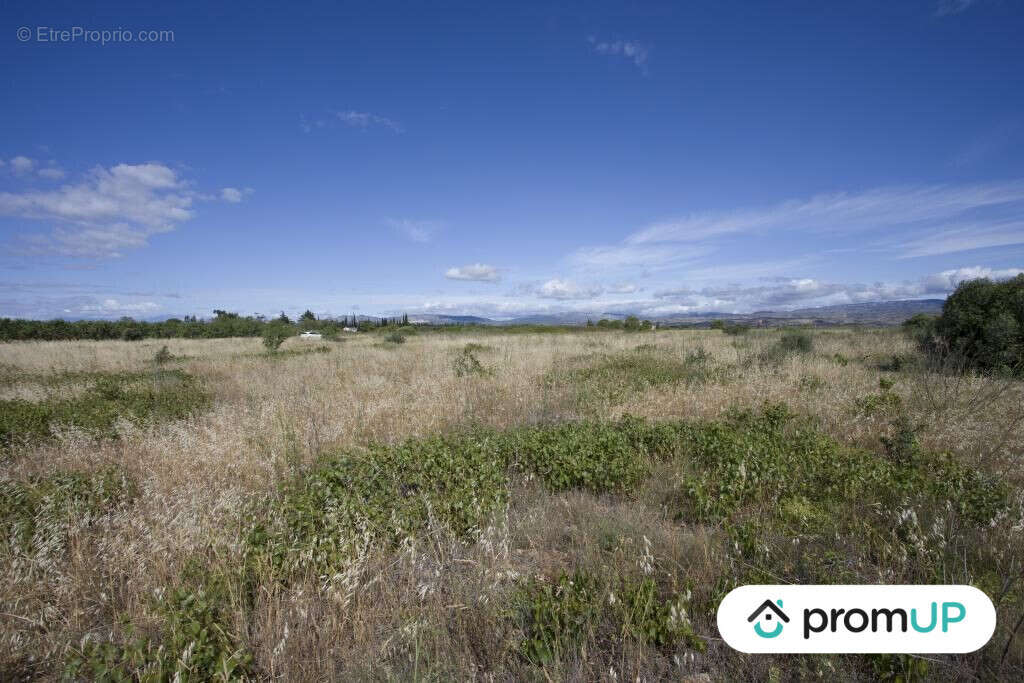 Terrain à SAINT-HIPPOLYTE
