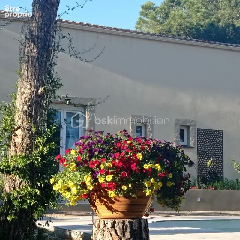 Domaine en mediterranee 2 hectares - photo 6