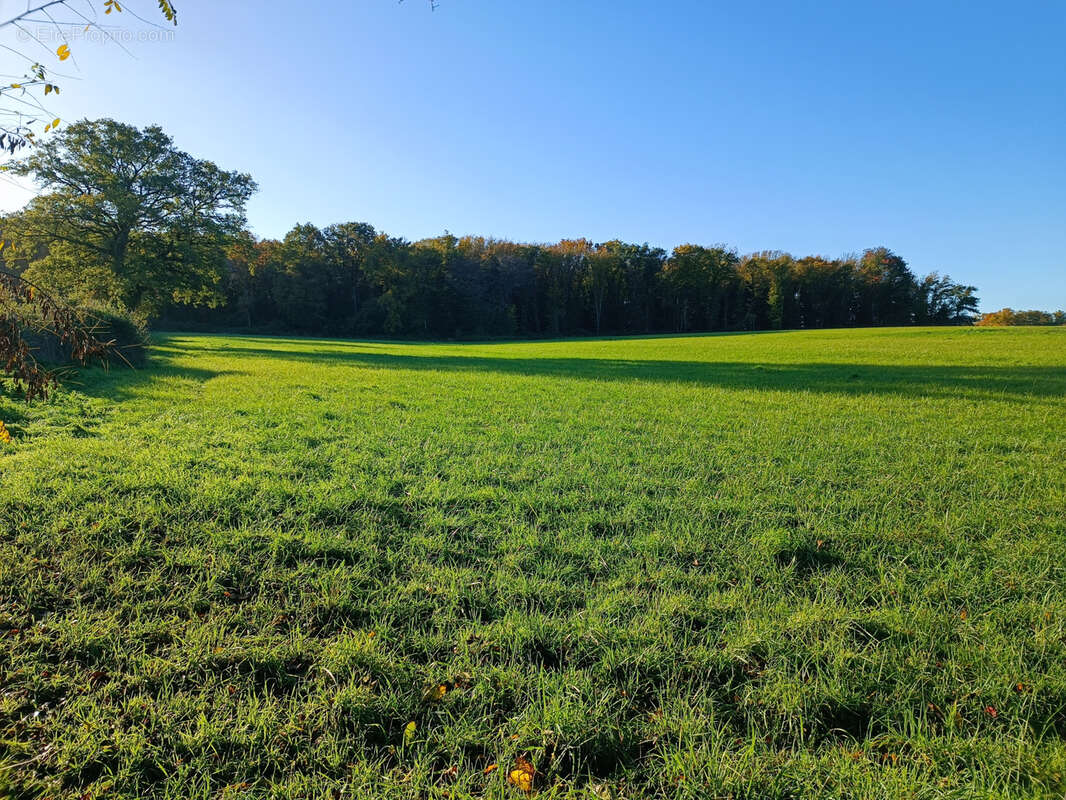 Maison à JOUET-SUR-L'AUBOIS