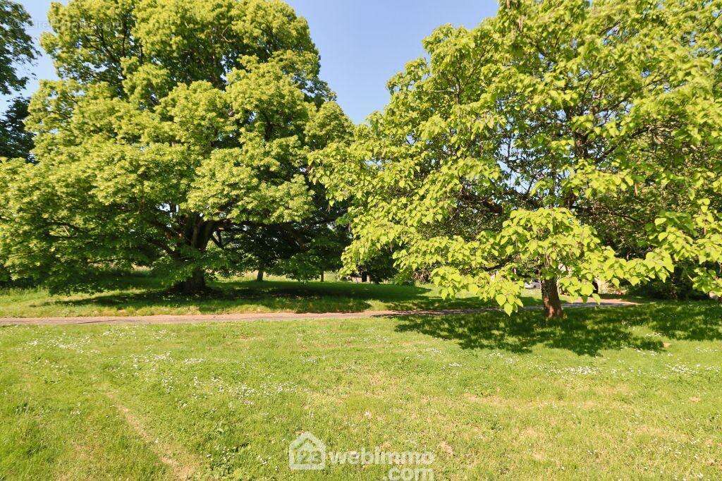 Avec grand terrain et ses arbres centenaires. - Maison à SOMMIERES-DU-CLAIN