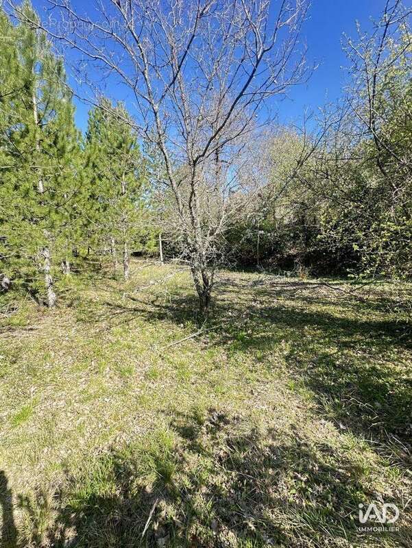 Photo 7 - Terrain à MOLLANS-SUR-OUVEZE