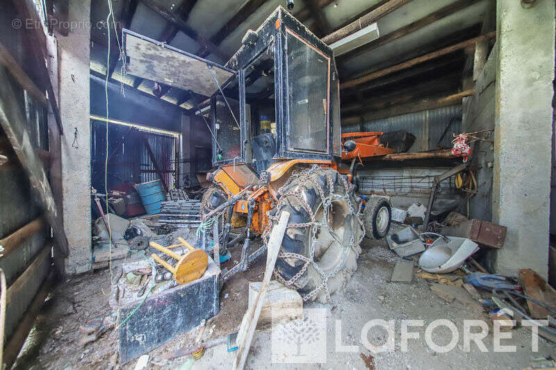 **muande + 7200 m² de terrain - embrun - photo 7