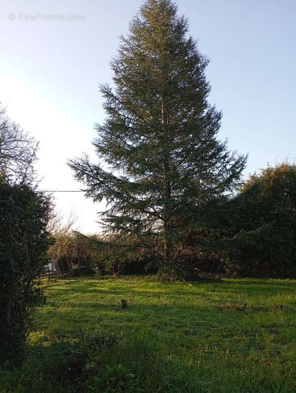 Terrain à SAINT-CAPRAIS-DE-BORDEAUX