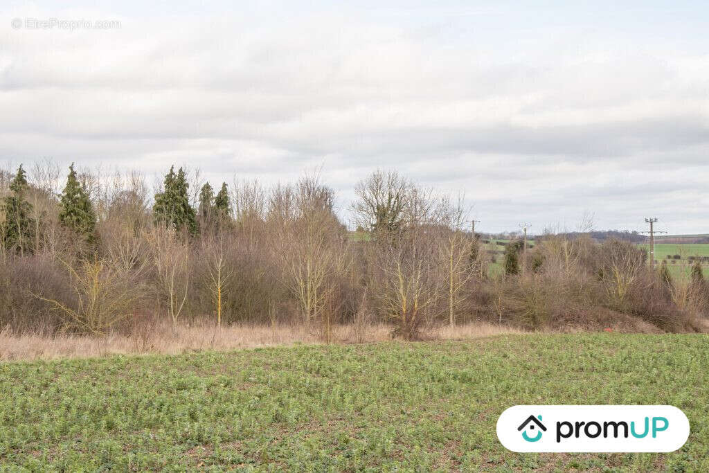 Terrain à SOREL-EN-VIMEU