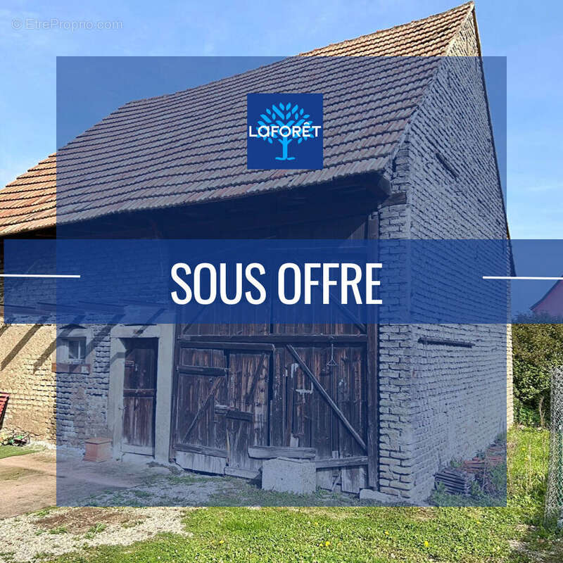 Terrain à LA WANTZENAU