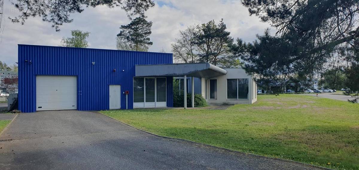 Autre à SCHWEIGHOUSE-SUR-MODER