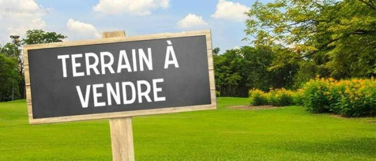 Photo 1 - Terrain à TEILLET