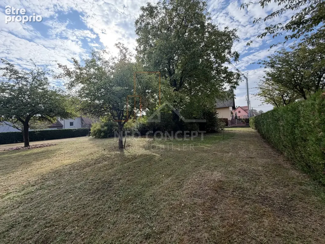 Weitbruch – terrain constructible de 9,55 ares – hors lotissement - photo 3