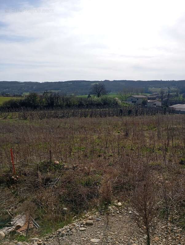 Terrain à ANNEYRON