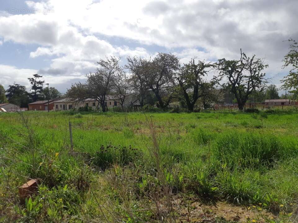 Terrain à DIEUPENTALE