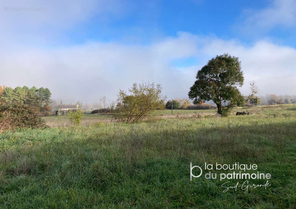 Terrain à BIRAC