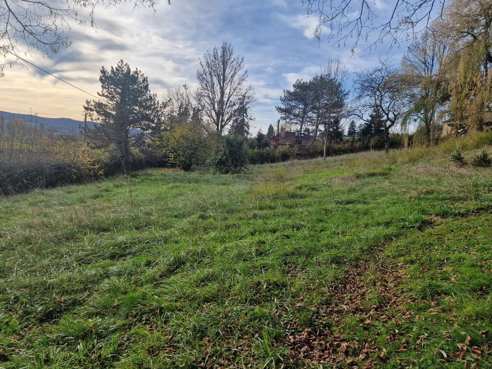 Terrain à CLUNY
