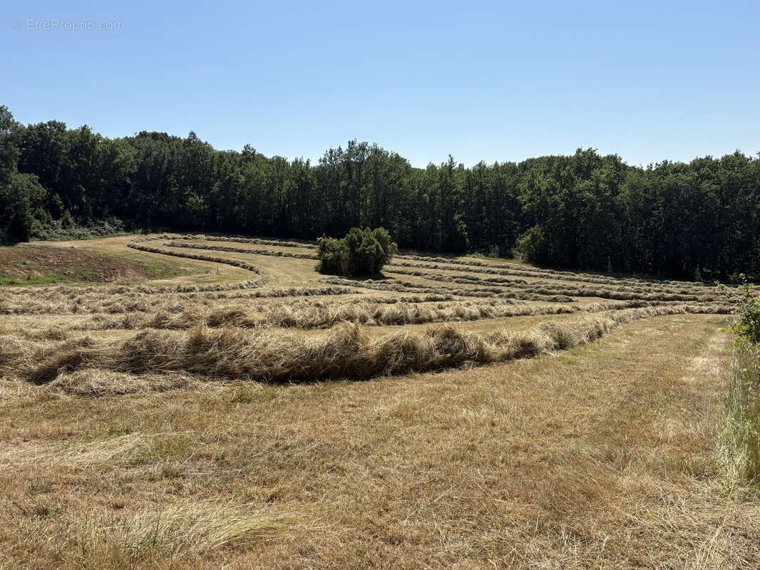 Terrain à LAFRANCAISE