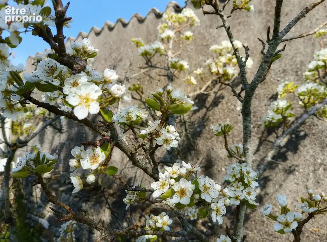 Maison Poitevine 9 pièces à 3 minutes de Saint Maixent L'école - photo 14