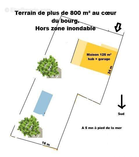 Photo 1 - Maison à ANGOULINS