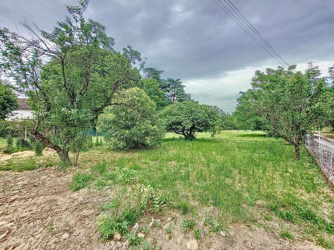 Photo 3 - Terrain à LABRUGUIERE