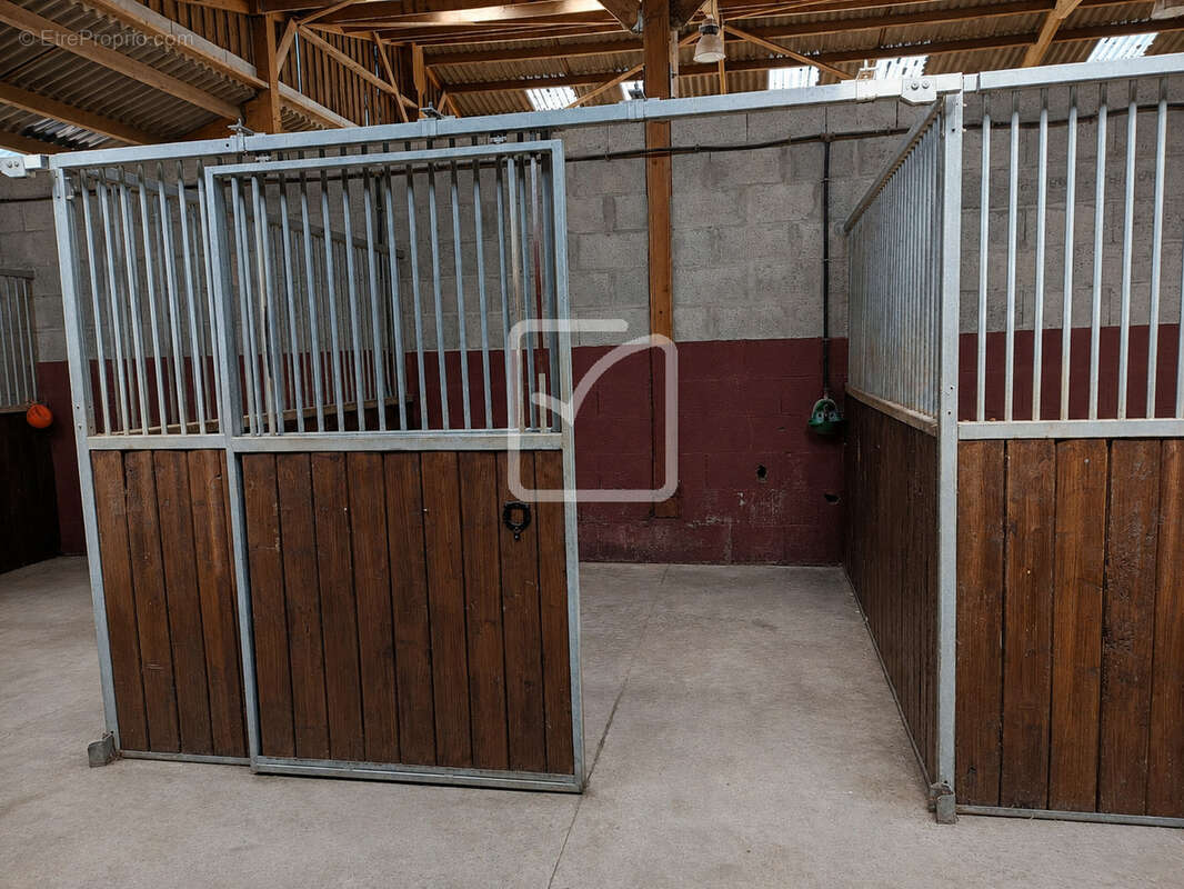Rare   propriété équestre près de villeréal   20 ha   25 boxes   2 aires couvertes   2 habitations - photo 27