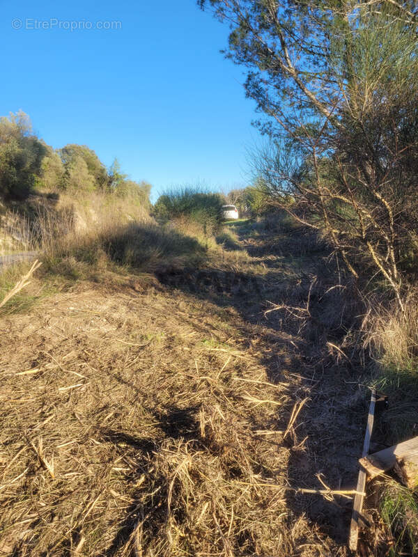 Terrain à CLARENSAC
