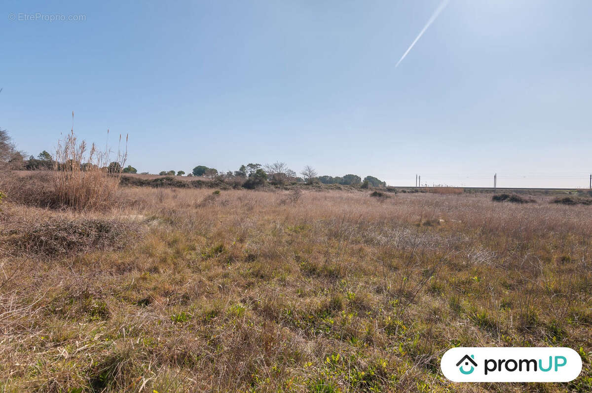 Terrain à LUNEL-VIEL