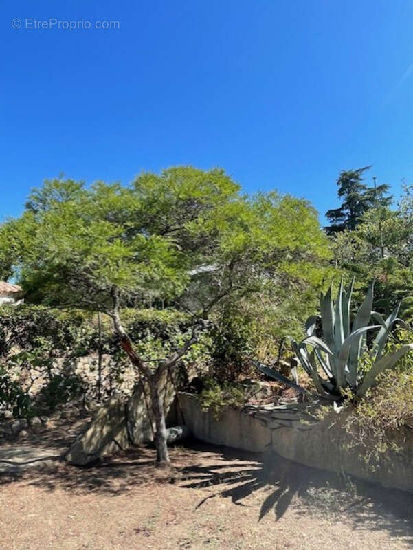 Maison à SAINTE-MAXIME