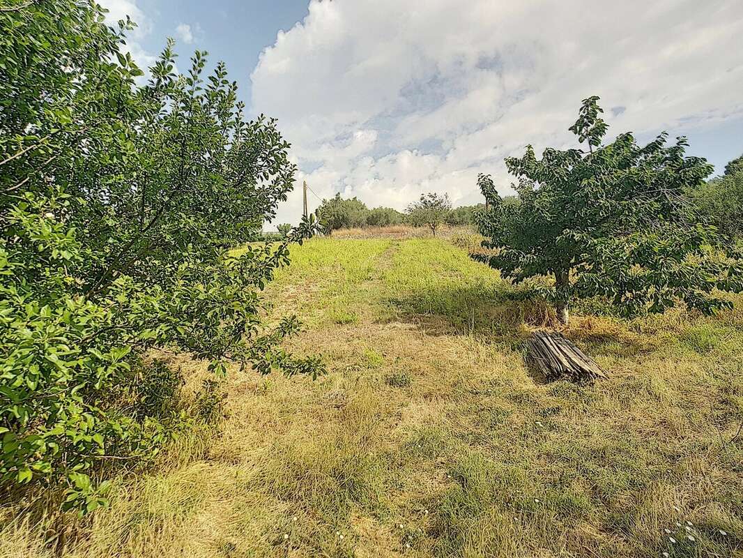 Terrain à LE CANNET