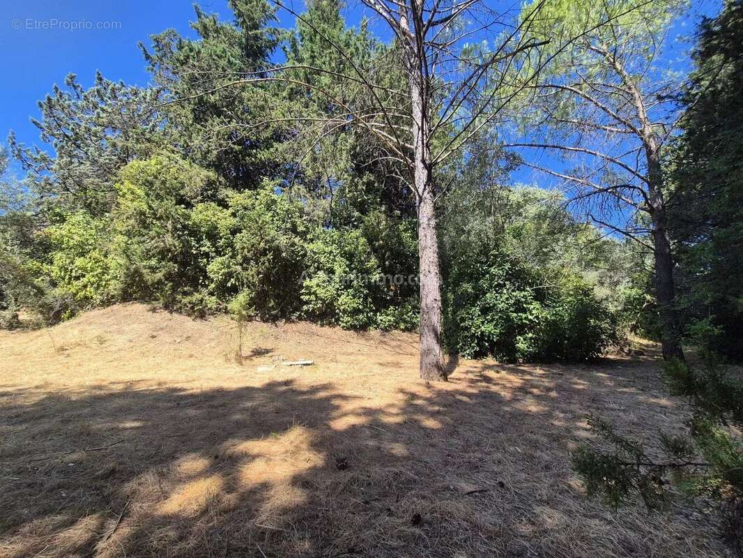 Vente Terrain Draguignan(83300) 145 000ï¿œ - photo 2