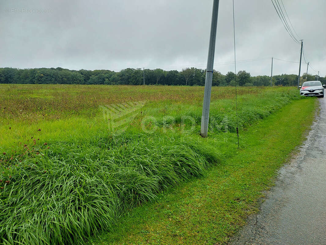 Terrain à LES BORDES