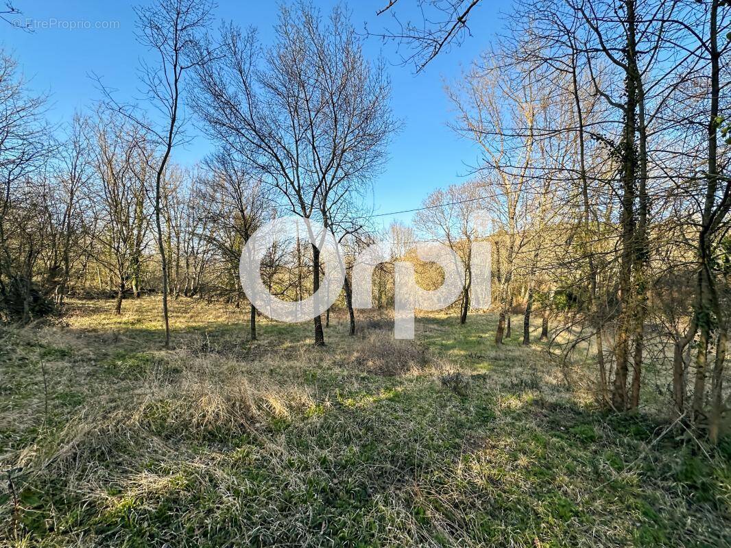 Maison à ALLEGRE-LES-FUMADES