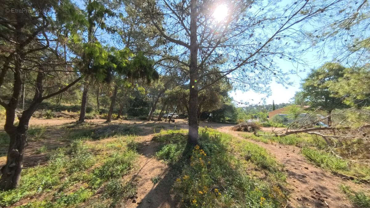 Terrain à SILLANS-LA-CASCADE