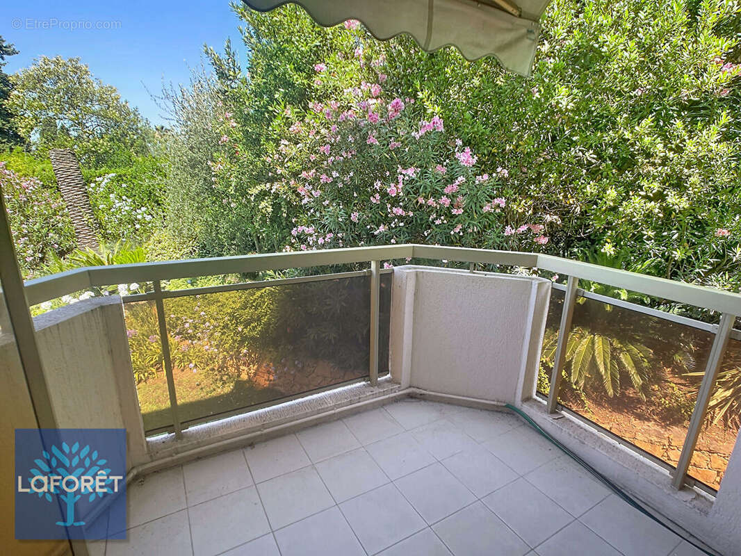 Spacieux 3 Pièces Cannes Oxford - Terrasse d'angle Sud - Vue dégagée dominante sur jardins - photo 4