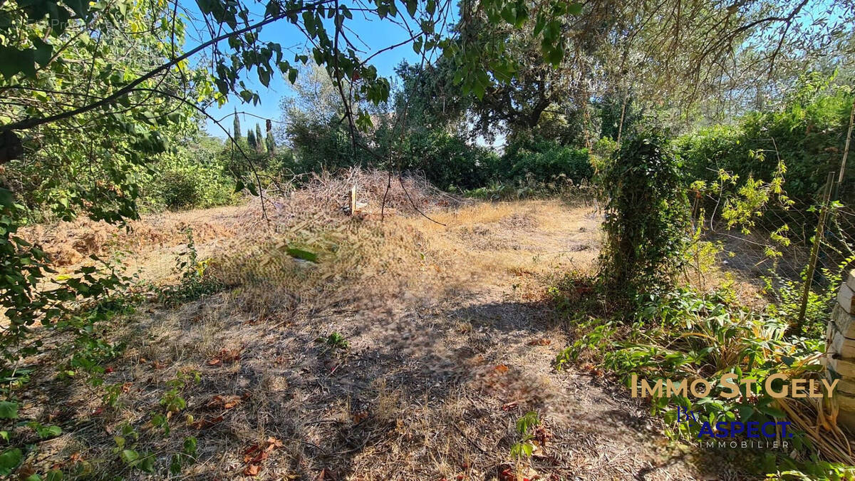 Terrain à SAINT-VINCENT-DE-BARBEYRARGUES