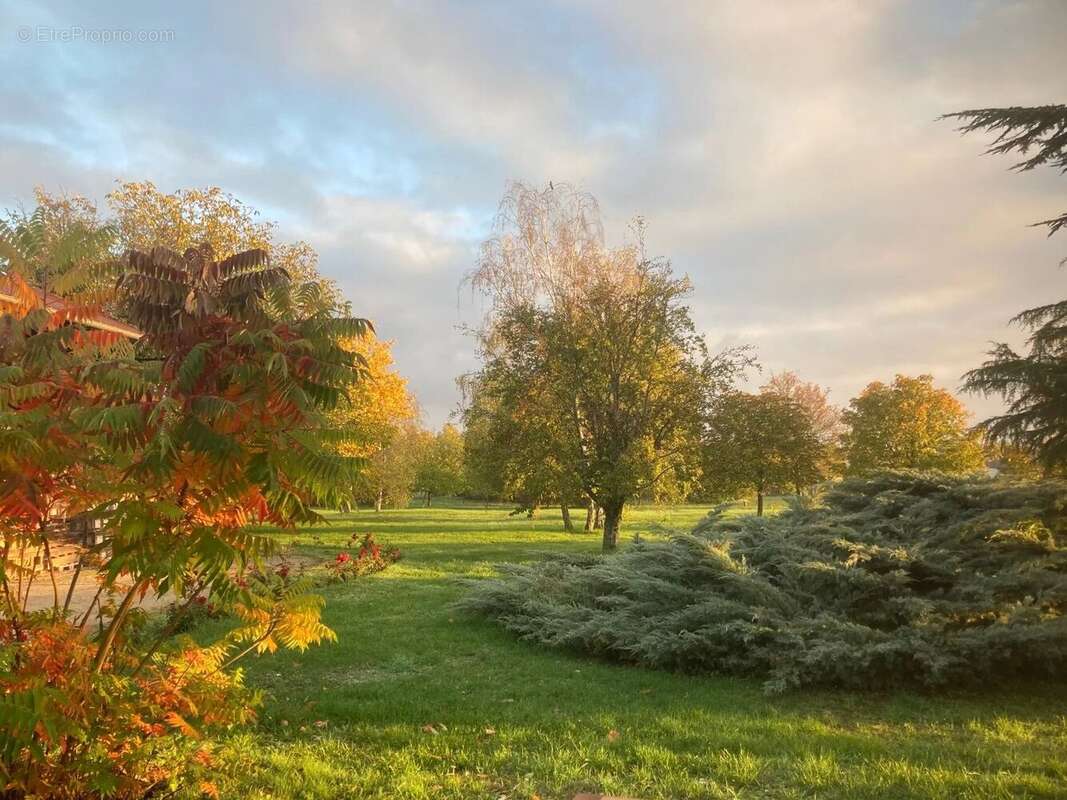 Maison à LADOIX-SERRIGNY