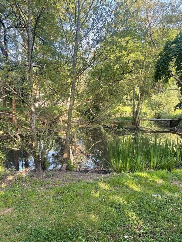 Photo 3 - Maison à ARDENTES