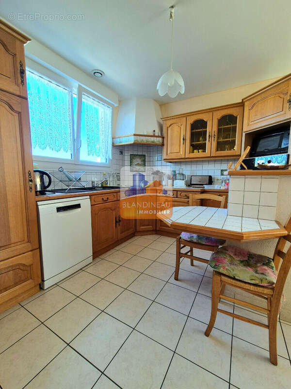 Maison de plain-pied, 160 m², 5 ch + bureau terrain 2038 m²,  hangar 100 m² - photo 5