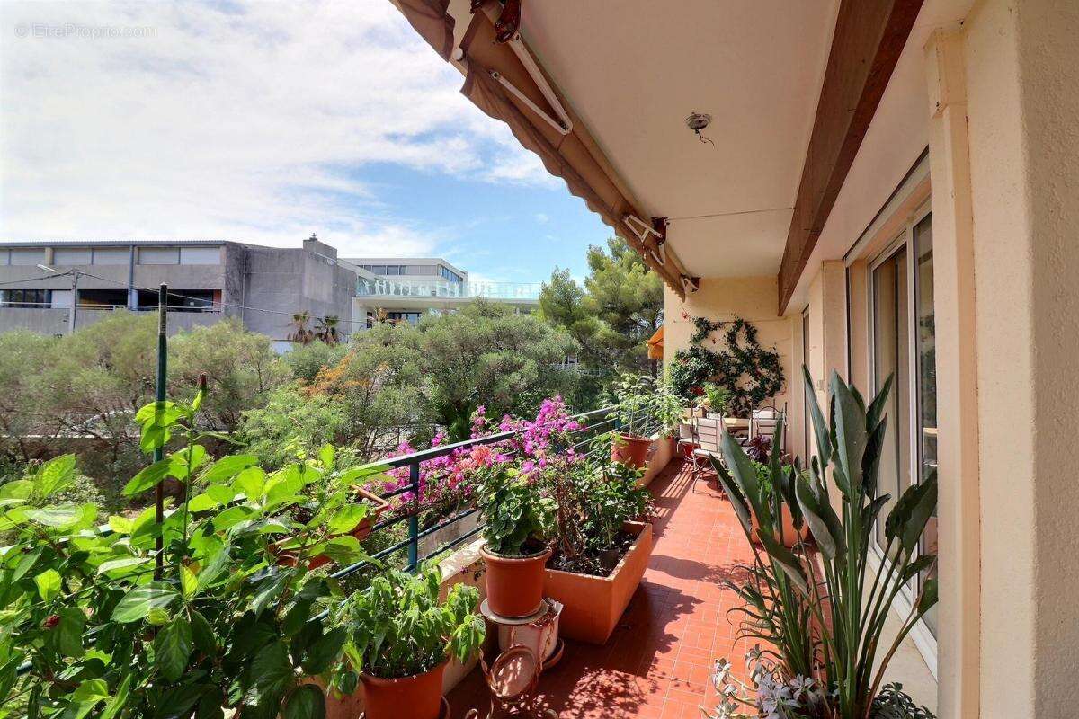 Appartement à TOULON