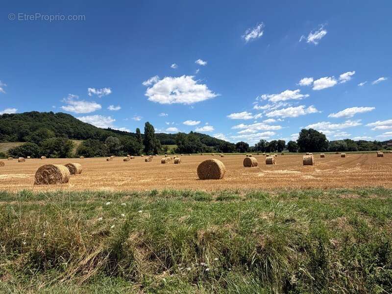 MARCIAC(32): ancienne SEIGNEURIE avec BEAU CHATEAU XIV sur 3,5ha, cachée, au bout du chemin, sans voisin, en campagne, 500m2 hab - photo 65